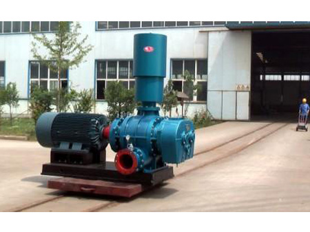 LRRF245高壓羅茨鼓風(fēng)機