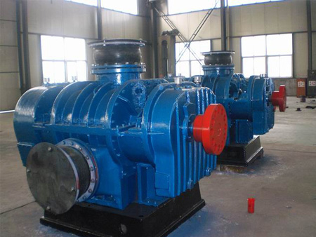 LFRR300F高壓羅茨鼓風(fēng)機